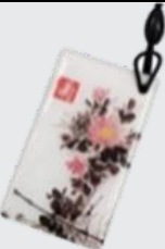 كارت أو تاج دخول SIB IC Epoxy Tag — كود 2008