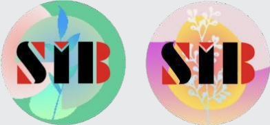 كارت أو تاج دخول SIB IP05EM — كود 2700